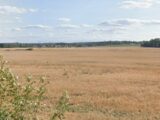 Terrain à bâtir à Saubens (31600) 2517891-6043annonce120260522N215k.jpeg Maisons France Confort