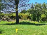 Maison à construire à Plaisance-du-Touch (31830) 2517796-9555annonce120260522XyHaa.jpeg Maisons France Confort