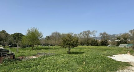 Le Pradet Maison neuve - 2519807-4590annonce12026052597CQK.jpeg Maisons France Confort