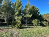 Maison à construire à Ollioules (83190) 2519830-4590annonce220260525ttdIs.jpeg Maisons France Confort