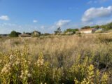 Terrain à bâtir à Cazouls-lès-Béziers (34370) 2520063-11018annonce320251010rXixA.jpeg Maisons France Confort