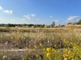 Terrain à bâtir à Cazouls-lès-Béziers (34370) 2520082-11018annonce220251010K4Rkb.jpeg Maisons France Confort