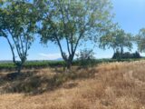 Terrain à bâtir à Olonzac (34210) 2520166-11018annonce220260203EQp5Z.jpeg Maisons France Confort