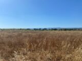Terrain à bâtir à Olonzac (34210) 2520153-11018annonce420260203z8Dbv.jpeg Maisons France Confort