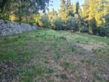 Terrain à bâtir à Valbonne (06560) 2520222-11201annonce120260526tVt62.jpeg Maisons France Confort