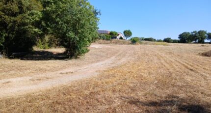 Vérargues Maison neuve - 2520819-11040annonce120260526H6SNT.jpeg Maisons France Confort