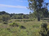 Terrain à bâtir à Puget-sur-Argens (83480) 2438807-5163annonce220260224M3Tvp.jpeg Maisons France Confort