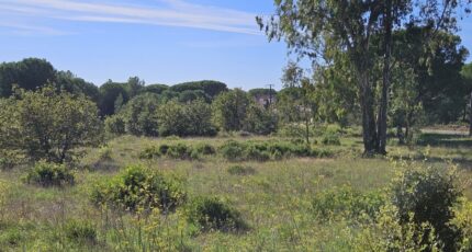 Puget-sur-Argens Terrain à bâtir - 2438807-5163annonce220260224M3Tvp.jpeg Maisons France Confort