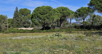 Puget-sur-Argens Terrain à bâtir - 2438807-5163annonce420260224VBd5N.jpeg Maisons France Confort