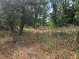 Terrain à bâtir à Callian (83440) 2438803-5163annonce420260224InNPc.jpeg Maisons France Confort