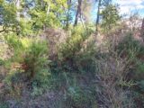 Terrain à bâtir à Gréasque (13850) 2521262-11041annonce320260527RLFoX.jpeg Maisons France Confort