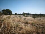 Maison à construire à Cuers (83390) 2521722-10122annonce1202605276x3Wm.jpeg Maisons France Confort