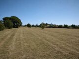 Terrain à bâtir à Cuers (83390) 2521750-11137annonce220260527aRisv.jpeg Maisons France Confort