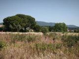 Terrain à bâtir à Cuers (83390) 2521999-11039annonce220260527OhFqq.jpeg Maisons France Confort