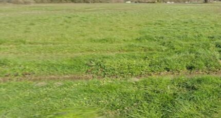 Saint-Savin Maison neuve - 2514068-11516annonce12026051948wPr.jpeg Maisons France Confort