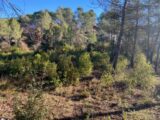 Terrain à bâtir à Brignoles (83170) 2522654-5922annonce2202605285qMfh.jpeg Maisons France Confort