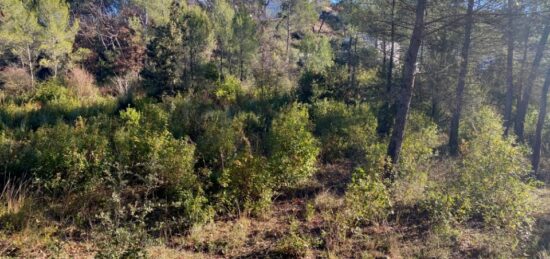Terrain à bâtir à , Var