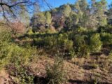 Terrain à bâtir à Brignoles (83170) 2522654-5922annonce420260528XxM7Q.jpeg Maisons France Confort