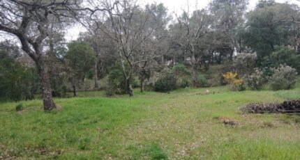Carnoules Maison neuve - 2522759-5922annonce120260528wdfip.jpeg Maisons France Confort