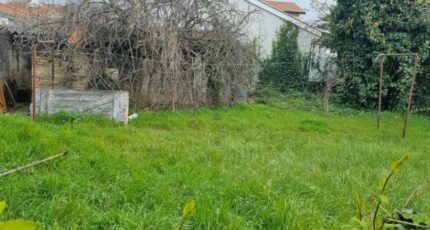 Vénissieux Maison neuve - 2461919-10453annonce120260414QVtQz.jpeg Maisons France Confort