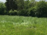 Terrain à bâtir à Canappeville (27400) 2506064-5362annonce120260511VMpq4.jpeg Maisons France Confort