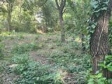 Terrain à bâtir à Fuveau (13710) 2526698-11837annonce120260531Uwtmg.jpeg Maisons France Confort