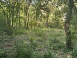 Terrain à bâtir à Fuveau (13710) 2526698-11837annonce220260531F18Rp.jpeg Maisons France Confort