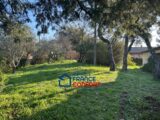 Terrain à bâtir à Puget-sur-Argens (83480) 2448014-3951annonce220260305VIlWb.jpeg Maisons France Confort