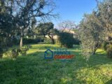 Terrain à bâtir à Puget-sur-Argens (83480) 2448014-3951annonce320260305gt2fr.jpeg Maisons France Confort
