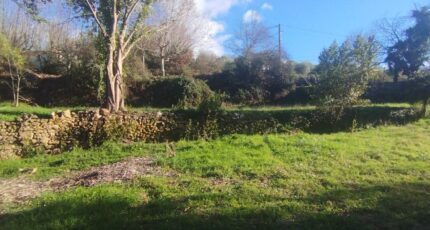 Salavas Maison neuve - 2451293-11001annonce220260309XpbVN.jpeg Maisons France Confort
