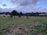 Maison à construire à Canet (34800) 2445827-11040annonce120260303hRqOB.jpeg Maisons France Confort