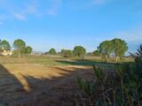 Terrain à bâtir à Perpignan (66000) 2437360-4671annonce120260223oBVDW.jpeg Maisons France Confort