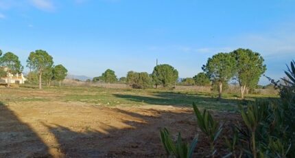 Perpignan Terrain à bâtir - 2437360-4671annonce120260223oBVDW.jpeg Maisons France Confort