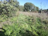 Terrain à bâtir à Garéoult (83136) 2506530-11039annonce120260511Gln70.jpeg Maisons France Confort