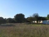Terrain à bâtir à Orange (84100) 2527285-3418annonce120240124za7XH.jpeg Maisons France Confort