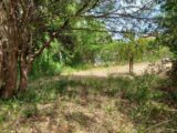Terrain à bâtir à Cabasse (83340) 2527331-11137annonce420260601aVs4S.jpeg Maisons France Confort