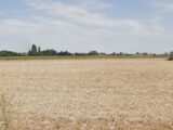 Maison à construire à Neuve-Chapelle (62840) 2527726-1807annonce220260601sD8vT.jpeg Maisons France Confort