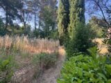 Maison à construire à Les Pennes-Mirabeau (13170) 2528879-11115annonce1202606024iZQM.jpeg Maisons France Confort
