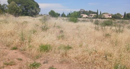 Cuers Terrain à bâtir - 2525416-5922annonce420260529fXEFy.jpeg Maisons France Confort