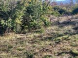 Terrain à bâtir à Vedène (84270) 2529136-695annonce420260602aA629.jpeg Maisons France Confort