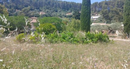 Solliès-Pont Terrain à bâtir - 2528618-5922annonce120260601bTZQr.jpeg Maisons France Confort