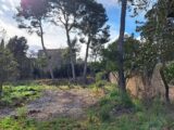 Maison à construire à Cournonsec (34660) 2529532-3243annonce120260602ZTfUO.jpeg Maisons France Confort