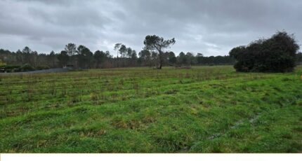 Saint-Savin Terrain à bâtir - 2482571-11516annonce1202604123oXTf.jpeg Maisons France Confort
