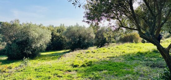Terrain à bâtir à Ollioules, Provence-Alpes-Côte d'Azur