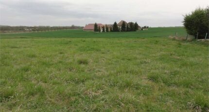 Sergines Maison neuve - 2535417-4032annonce120260604tzcSd.jpeg Maisons France Confort