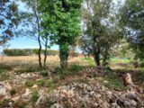 Terrain à bâtir à Le Thoronet (83340) 2536186-11137annonce220260605O3kid.jpeg Maisons France Confort