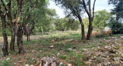 Le Thoronet Terrain à bâtir - 2536186-11137annonce320260605TtqMT.jpeg Maisons France Confort