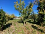 Maison à construire à Carnoules (83660) 2536987-11136annonce120260605ElBwc.jpeg Maisons France Confort