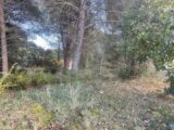 Terrain à bâtir à Alleins (13980) 2537001-3969annonce420260605zwVco.jpeg Maisons France Confort