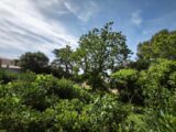 Terrain à bâtir à Toulon (83000) 2537029-11039annonce220260605hFeOA.jpeg Maisons France Confort
